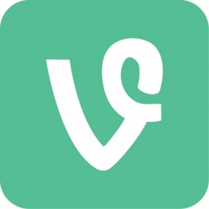 Sell your Vine account!
